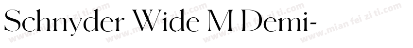Schnyder Wide M Demi字体转换